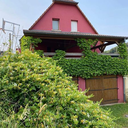 Grande Maison Bi-Familiale, Belle Vue, Piscine Villa Fréland Buitenkant foto