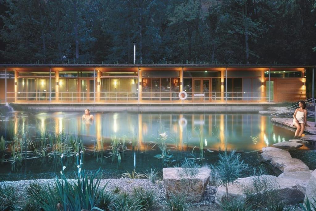 Grande Maison Bi-Familiale, Belle Vue, Piscine Villa Fréland Buitenkant foto