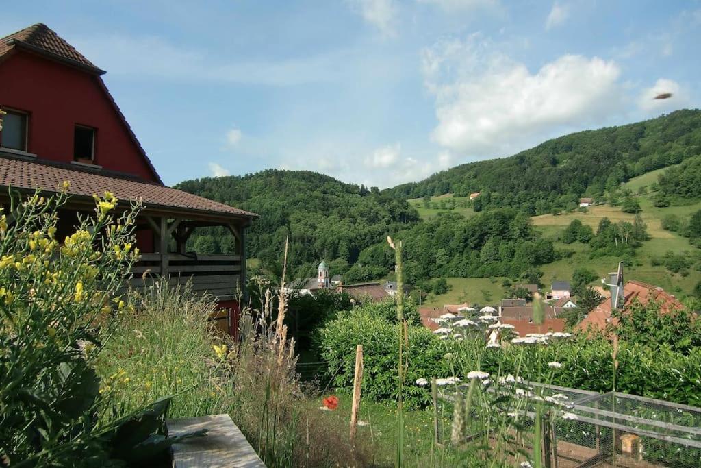 Grande Maison Bi-Familiale, Belle Vue, Piscine Villa Fréland Buitenkant foto