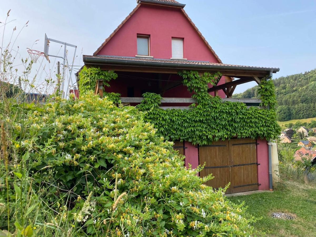 Grande Maison Bi-Familiale, Belle Vue, Piscine Villa Fréland Buitenkant foto